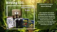 Birding 101
